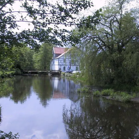 Muehlenteich In Der Oldenstaedter Wassermuehle *